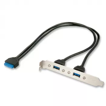 Vidinis USB kabelis Lindy 33096, 0,4 m, USB 3.2 Gen 1, 20 kontaktų DIP jungtis, 2× USB-A