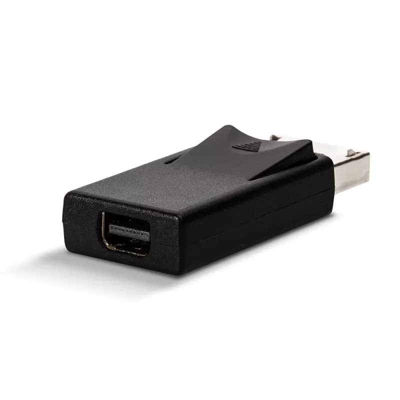 Adapteris DisplayPort į Mini DisplayPort Lindy 41089