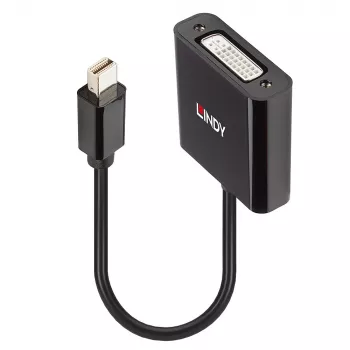 Lindy Mini DisplayPort į DVI aktyvus keitiklis 0,16 m juodas