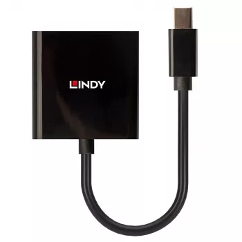Lindy Mini DisplayPort į DVI aktyvus keitiklis 0,16 m juodas