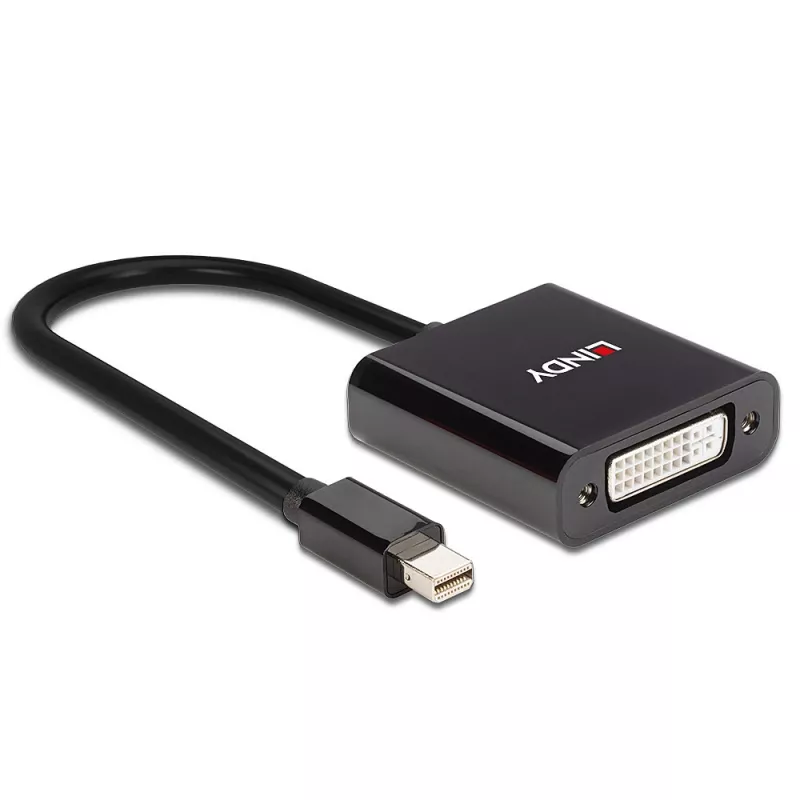 Lindy Mini DisplayPort į DVI aktyvus keitiklis 0,16 m juodas