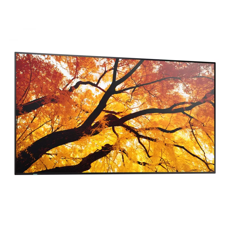 Sharp MultiSync PN-M982 Interaktyvus plokščiasis ekranas 2,48 m (97,5 colio) LED 550 cd/m² 4K Ultra HD Juodas 24/7