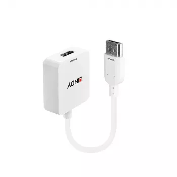 Lindy HDMI 1.4 į DisplayPort 1.1 keitiklis