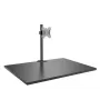 Lindy Single Display Short Bracket laikiklis vienam ekranui su stulpu ir stalo spaustuku
