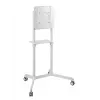 Vivolink VLFS3770 TV laikiklis/stovas 177,8 cm (70 colių) Baltas