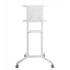Vivolink VLFS3770 TV laikiklis/stovas 177,8 cm (70 colių) Baltas