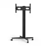 Monitorinis stovas SMS Smart Media Solutions K12-025-EU-1 190,5 cm Juodas