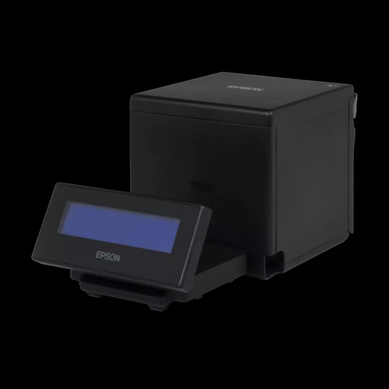Epson DM-D30 40 simbolių USB 2.0 juodas