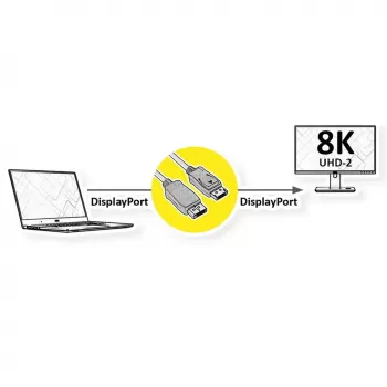DisplayPort kabelis ROLINE 11046002 2 m Juoda