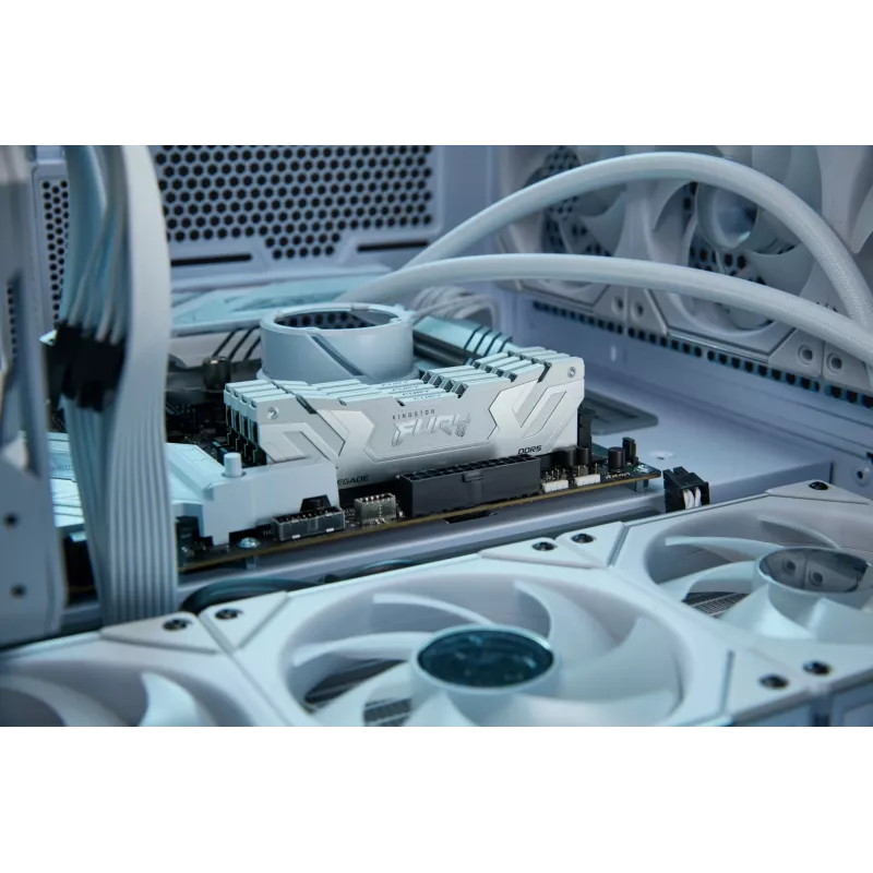 Kingston Technology FURY 24GB 8800MT/s DDR5 CL42 CUDIMM Renegade White