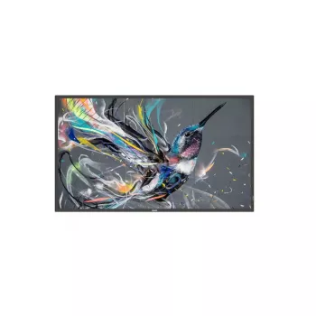 Philips 50BDL3511Q/00 Skaitmeninis ekranas (A-board) 127 cm (50 colių) 500 cd/m² 4K Ultra HD juodas 18/7