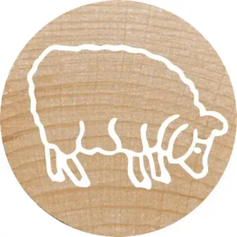 Antspaudas apvalus Colop 165225 Rubber Wood 3 cm skersmuo