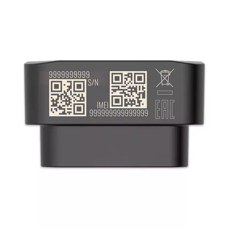GPS sekiklis Teltonika FMB020 Juoda Dulkėms atspari 0.128 GB