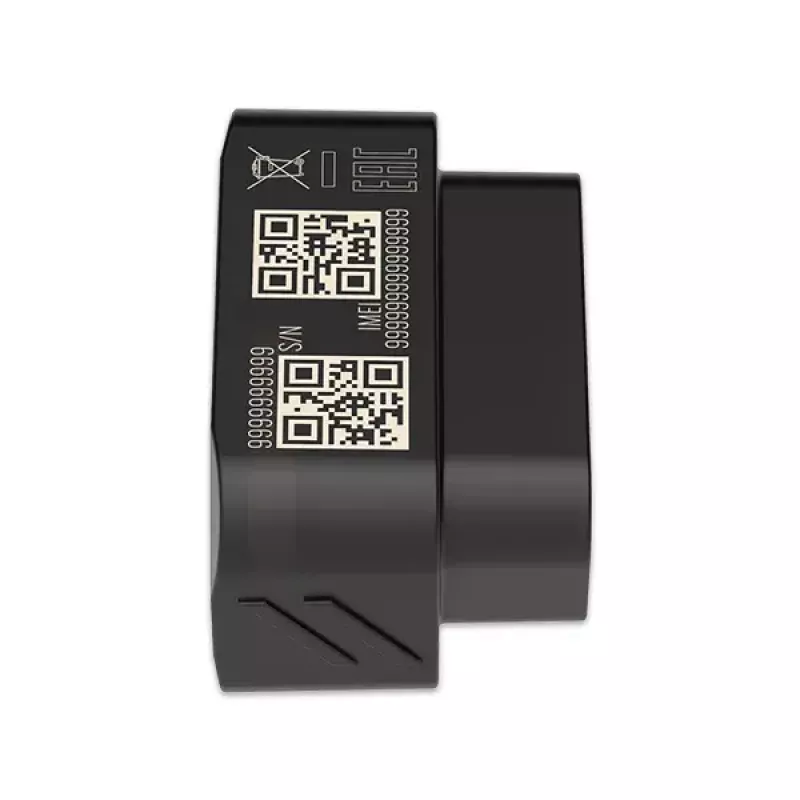 GPS sekiklis Teltonika FMB020 Juoda Dulkėms atspari 0.128 GB