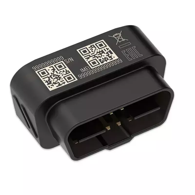 GPS sekiklis Teltonika FMB020 Juoda Dulkėms atspari 0.128 GB