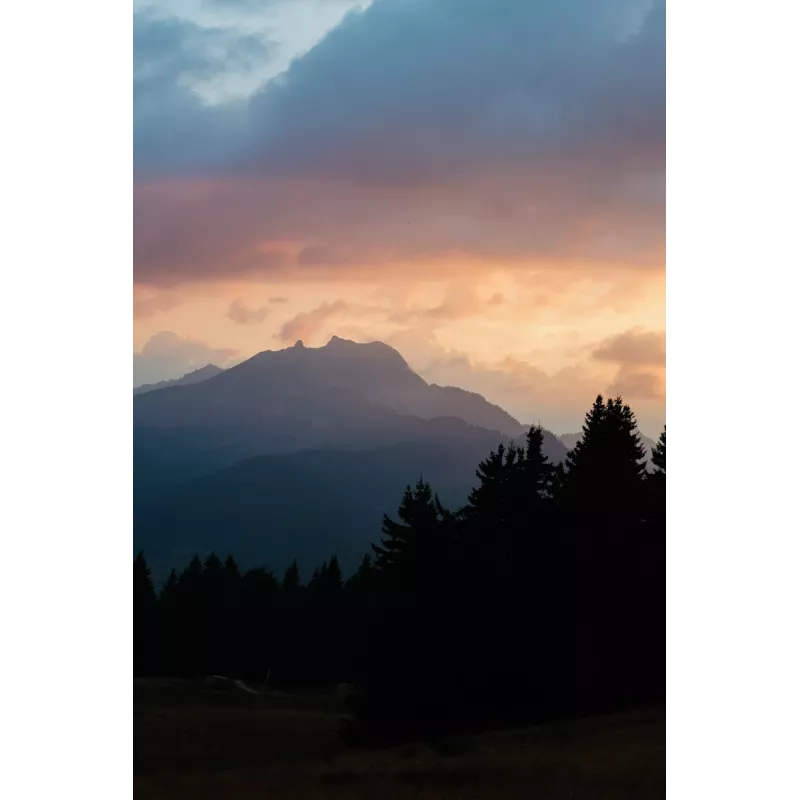 Veidrodinis fotoaparatas Canon EOS R6 Mark II (MILC korpusas) – 24,2 MP, CMOS, 4K vaizdo įrašas, 3 colių liečiamas ekranas, Wi‑Fi, 1/8000 s užraktas, 0,588 kg, juodas