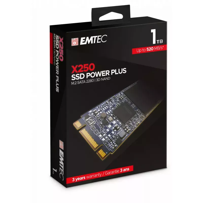 SSD diskas Emtec 1 TB M.2 Serial ATA III X250