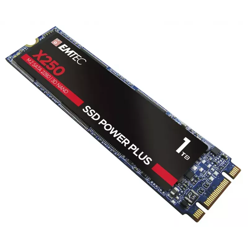 SSD diskas Emtec 1 TB M.2 Serial ATA III X250