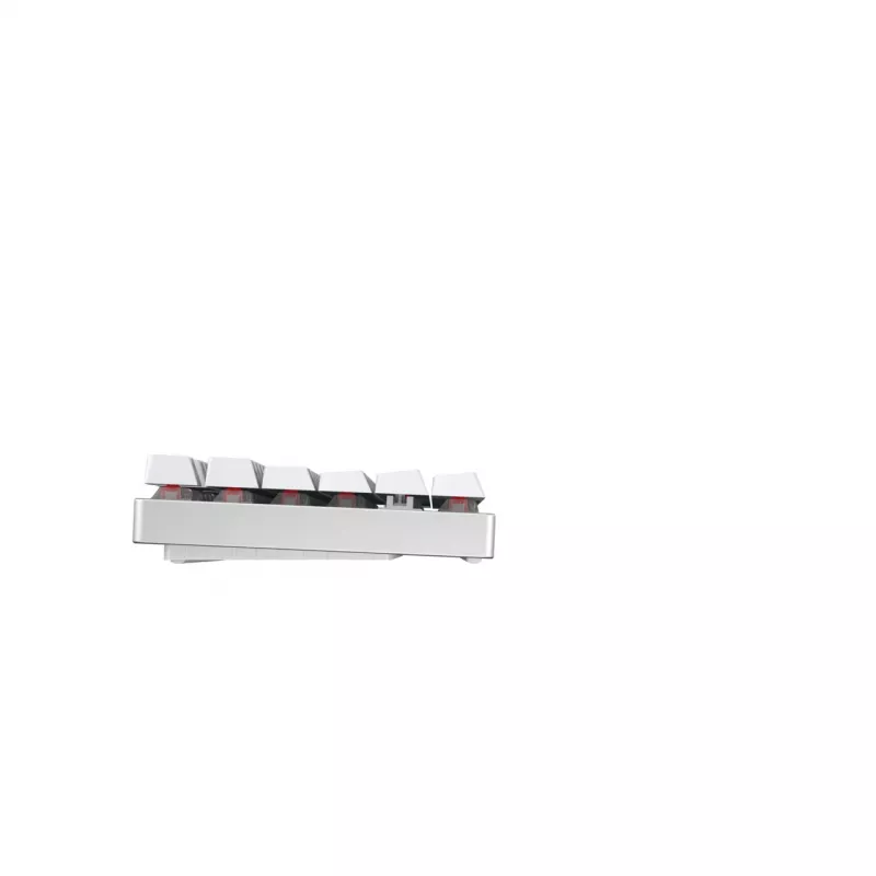 CHERRY MX 8.2 TKL Wireless RGB klaviatūra, belaidė RF + Bluetooth, QWERTZ, vokiškas išdėstymas, balta