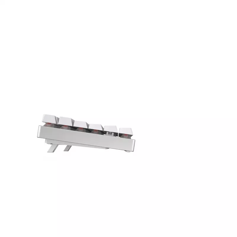 CHERRY MX 8.2 TKL Wireless RGB klaviatūra, belaidė RF + Bluetooth, QWERTZ, vokiškas išdėstymas, balta