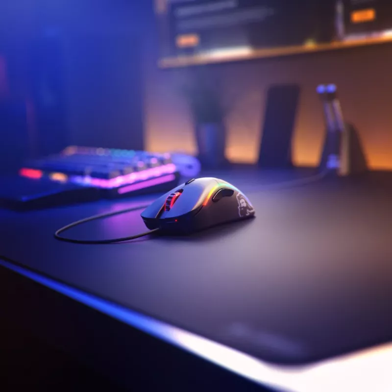Glorious Gaming Model D pelė (juoda)
