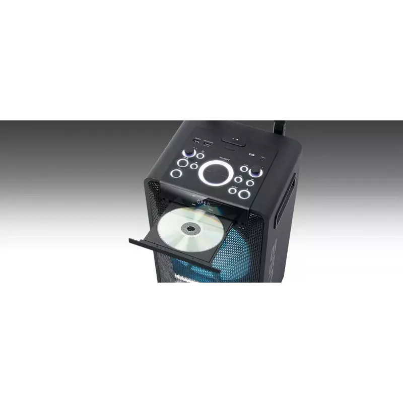 Nešiojamas garsiakalbis Muse M-1920 DJ – 300 W RMS, maitinamas iš tinklo, 3,5 mm įvestis, 256×287×534 mm, 7 kg, juodas