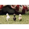 Žaislinės figūrėlės Schleich FARM WORLD Chicken Friends Vištų draugai Įvairiaspalvės 42574