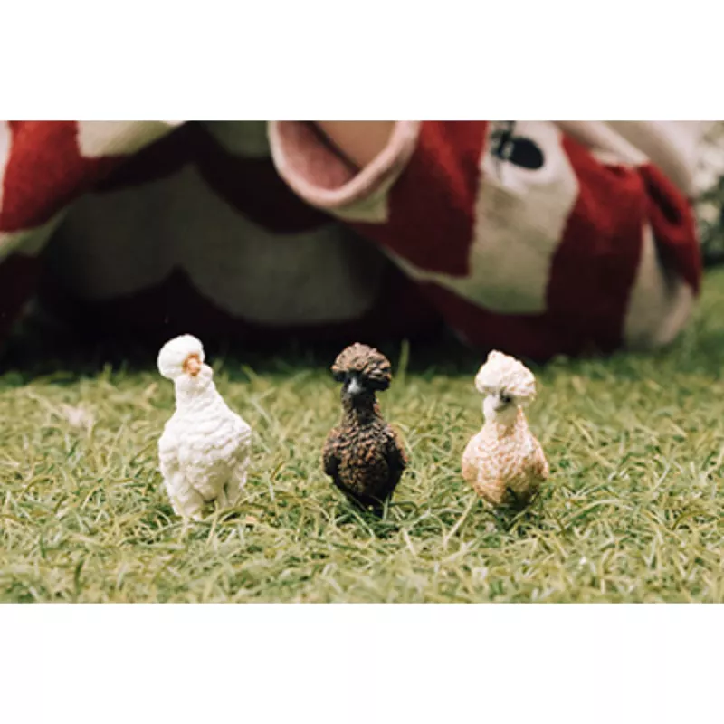 Žaislinės figūrėlės Schleich FARM WORLD Chicken Friends Vištų draugai Įvairiaspalvės 42574