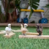 Žaislinės figūrėlės Schleich FARM WORLD Chicken Friends Vištų draugai Įvairiaspalvės 42574