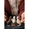 Žaislinės figūrėlės Schleich FARM WORLD Chicken Friends Vištų draugai Įvairiaspalvės 42574