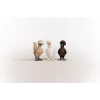 Žaislinės figūrėlės Schleich FARM WORLD Chicken Friends Vištų draugai Įvairiaspalvės 42574