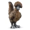 Žaislinės figūrėlės Schleich FARM WORLD Chicken Friends Vištų draugai Įvairiaspalvės 42574