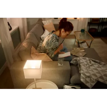 LED lemputė Philips Hue White Lustre E14 Bluetooth Zigbee 2 vnt.