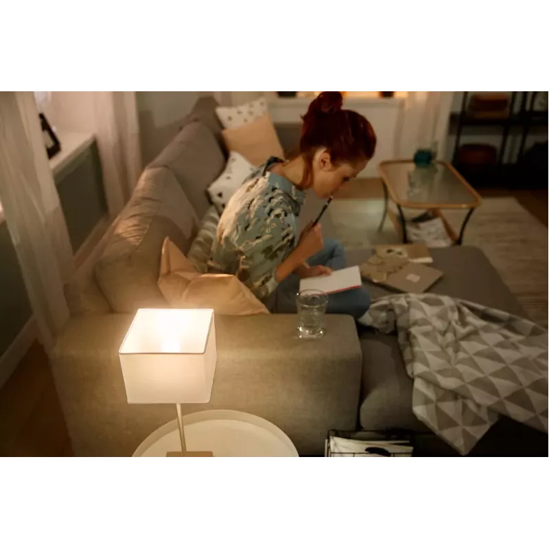 LED lemputė Philips Hue White Lustre E14 Bluetooth Zigbee 2 vnt.