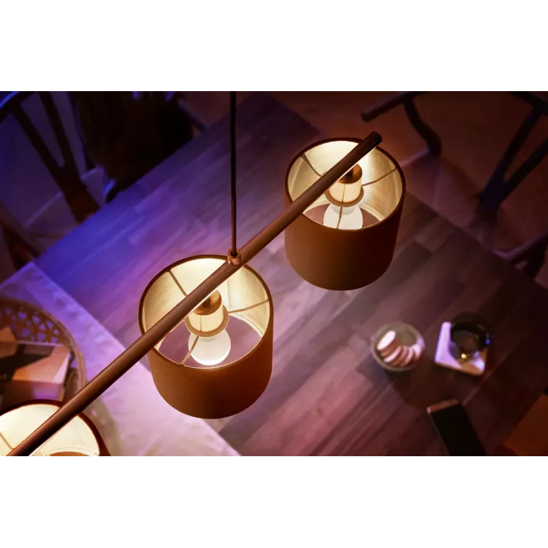 LED lemputė Philips Hue White Lustre E14 Bluetooth Zigbee 2 vnt.