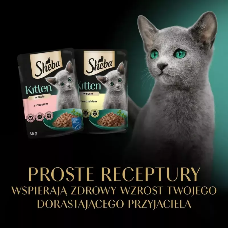 Sheba Kitten Selection of Flavors šlapias kačių maistas padaže, 40 x 85 g