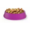 Whiskas Adult 1+ su vištiena sausas kačių maistas, 14 kg