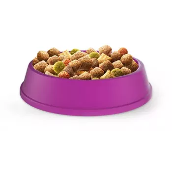 Sausas kačių ėdalas Whiskas Adult Chicken 14 kg