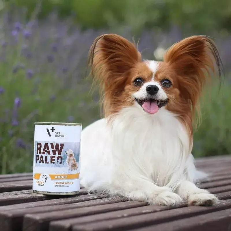Šlapias šunų ėdalas VETEXPERT RAW PALEO Adult Monoprotein Turkey 400 g, be glitimo ir sojos, tinka netoleruojantiems grūdų