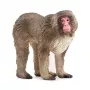 Schleich WILD LIFE Japoninė Makaka Figūrėlė Smėlio Ruda Rausva 14871