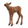 Figūrų rinkinys Schleich WILD LIFE Briedžių šeima – realistiniai gyvūnų modeliai, 3+ metai, įvairiaspalvis
