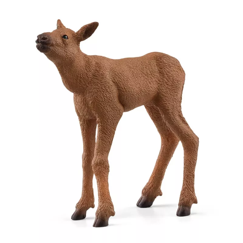 Figūrų rinkinys Schleich WILD LIFE Briedžių šeima – realistiniai gyvūnų modeliai, 3+ metai, įvairiaspalvis