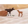 Figūrų rinkinys Schleich WILD LIFE Briedžių šeima – realistiniai gyvūnų modeliai, 3+ metai, įvairiaspalvis