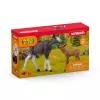 Figūrų rinkinys Schleich WILD LIFE Briedžių šeima – realistiniai gyvūnų modeliai, 3+ metai, įvairiaspalvis