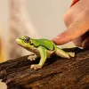 Schleich WILD LIFE Europinė medvarlė