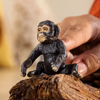 Schleich WILD LIFE Jauniklis Šimpanzė 14884 – Įvairiaspalvė Figūrėlė, Nuo 3 Metų