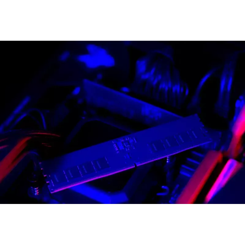 GOODRAM GR00O5-64L52S/16G 16 GB DDR5 CUDIMM atminties modulis