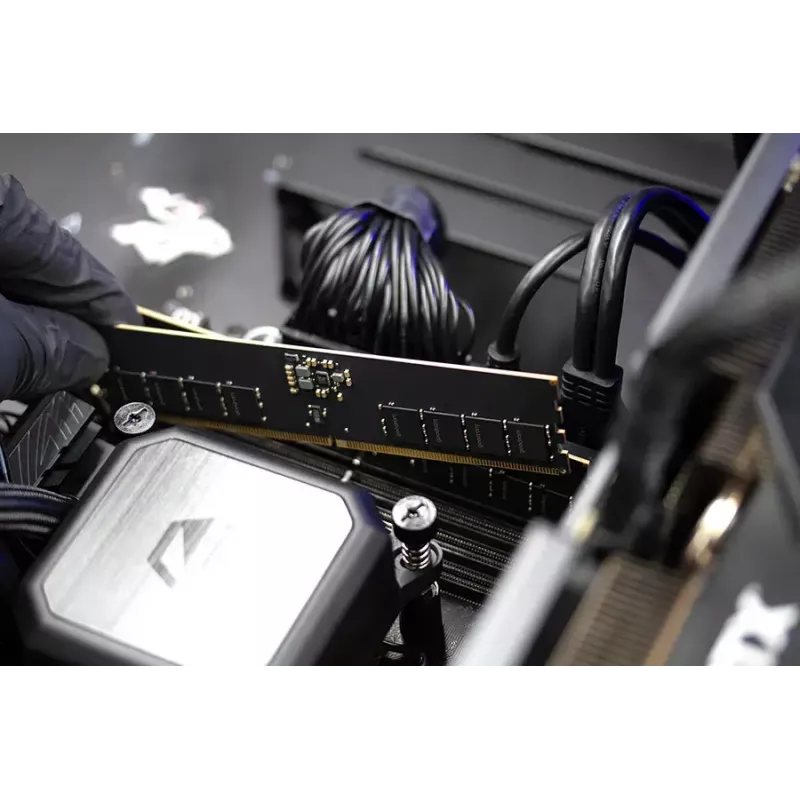 GOODRAM GR00O5-64L52S/16G 16 GB DDR5 CUDIMM atminties modulis