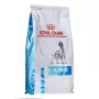 Sausas šunų ėdalas Royal Canin Anallergenic 8 kg – suaugusiems hipoalerginis paukštienos receptas, be glitimo, be laktozės