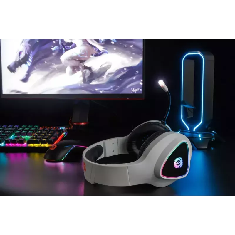 Ausinės „Canyon Shadder GH-6“
